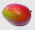 /album/fotogaleria-exoticke-ovocie/mate-v-oblube-exoticke-mango-2232-jpg/